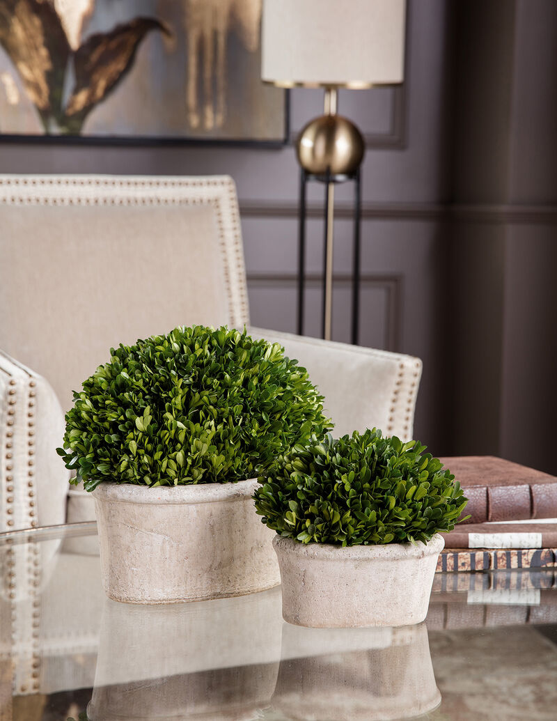 Uttermost Oval Domes Preserved Boxwood Set/2